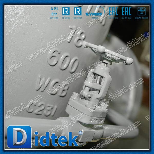 Steam BW 18 '' Van cổng WCB với Bỏ qua