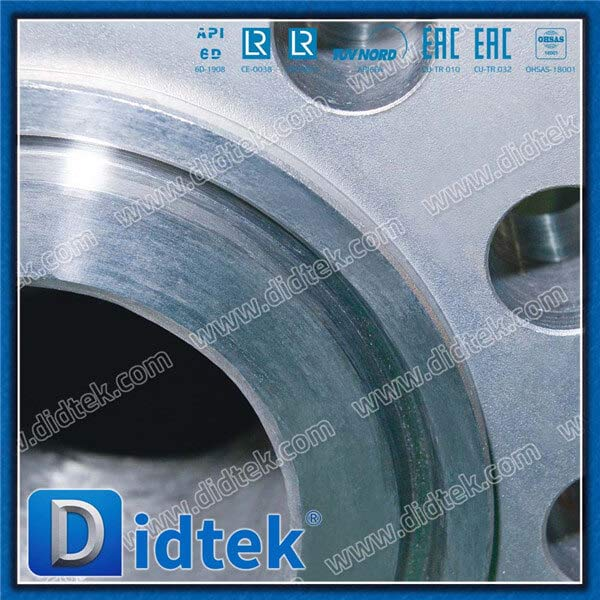 Van kiểm tra 6 inch có mặt bích áp suất cao