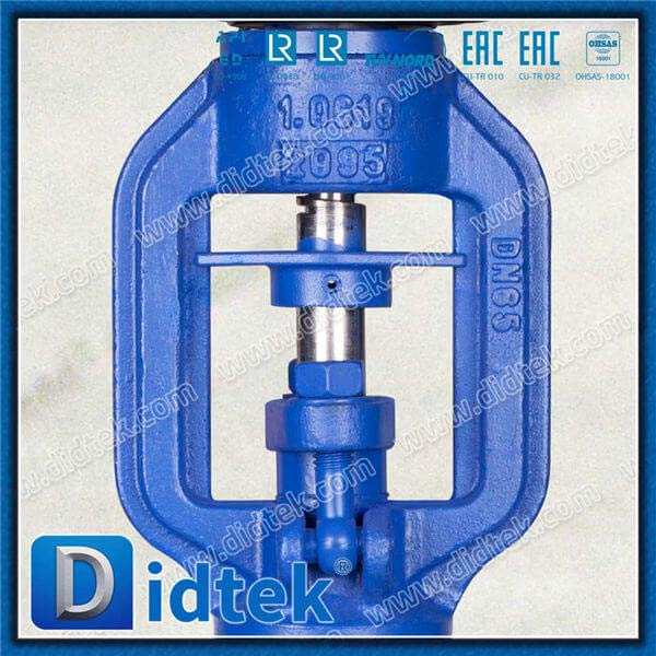 Van cầu dài dưới DIN 1.0619 DN65 PN40