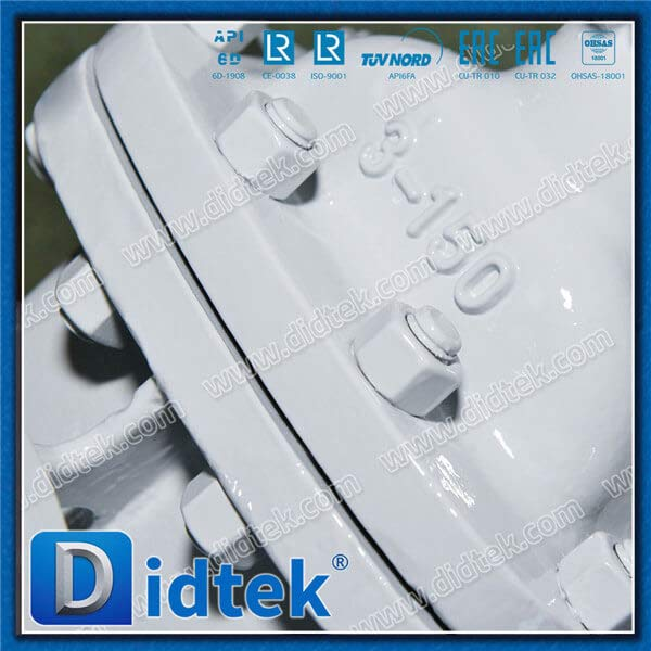 ASTM A351 CF8M BB Van Gate Trim 10