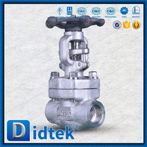 Thử nghiệm phiên bản F316H IGC A262 E Van cổng thép rèn