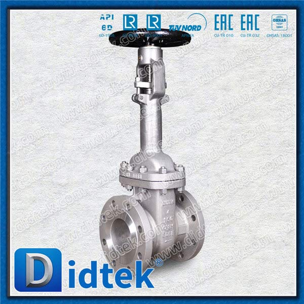 Van cổng đông lạnh API600 -52oC với vật liệu trang trí A351-CF8M số 10
