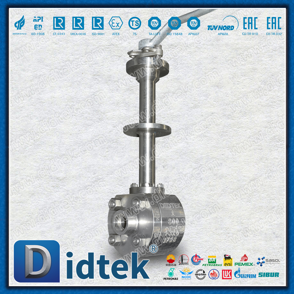 Van bi hàn ổ cắm PCTFE F316 đông lạnh