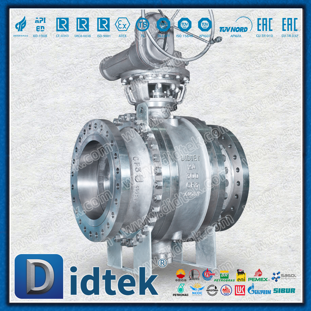 Van bi gắn trục bằng thép không gỉ CF3 24 ''