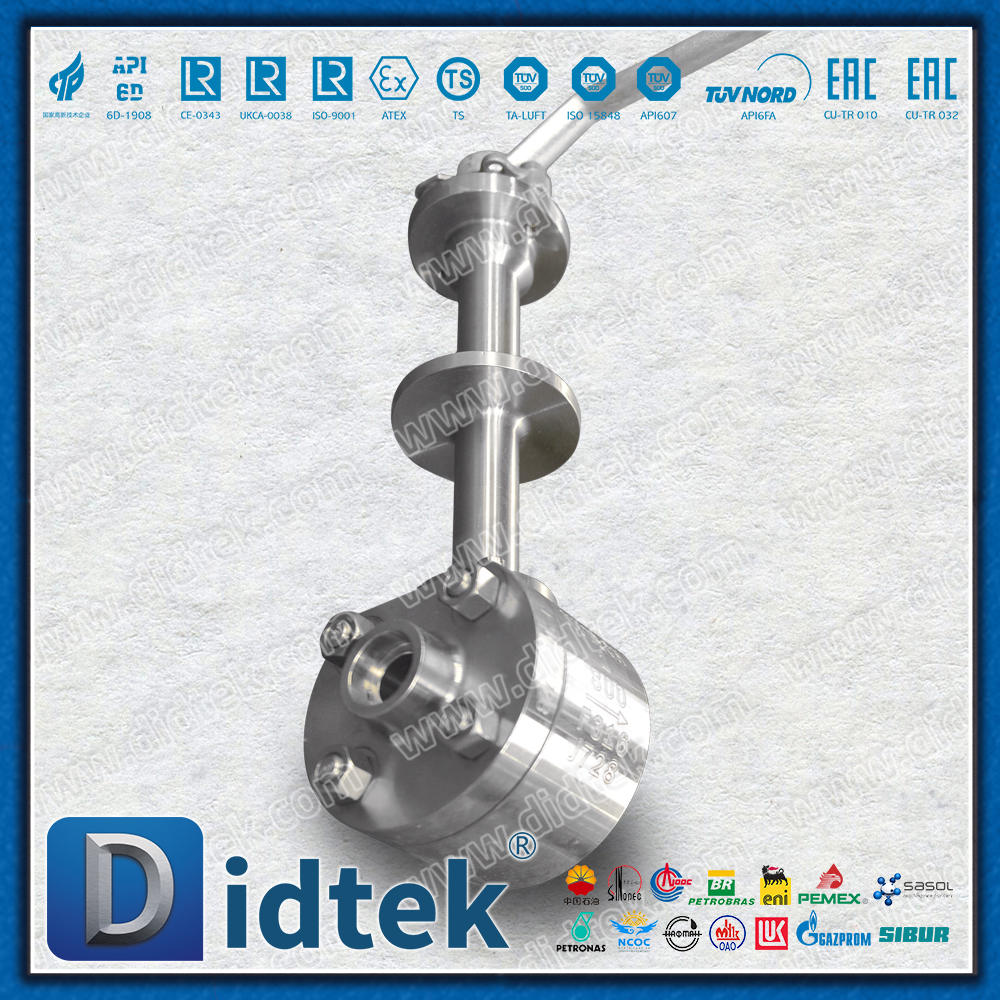 Van bi hàn ổ cắm PCTFE F316 đông lạnh
