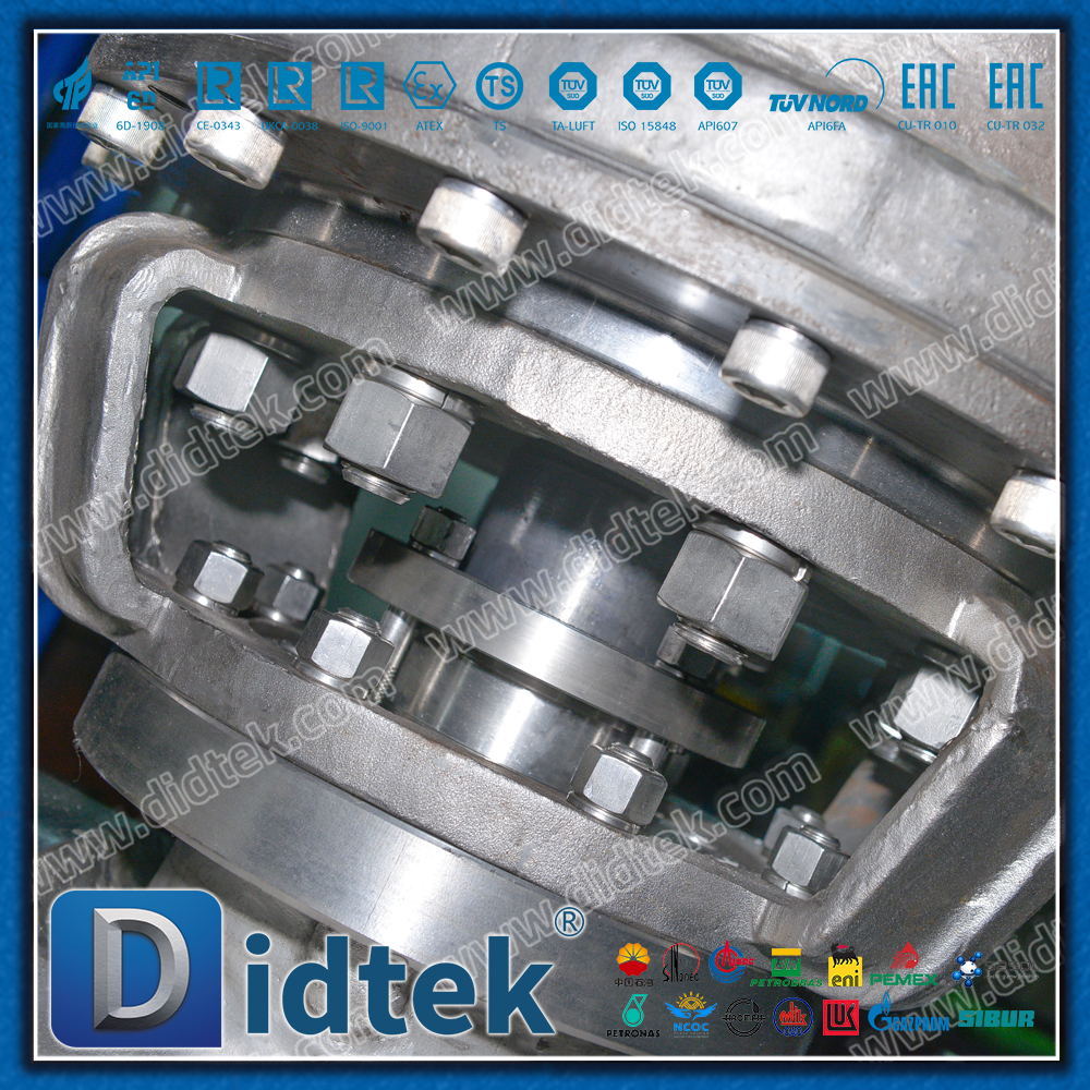 Van bi gắn trục bằng thép không gỉ CF3 24 ''