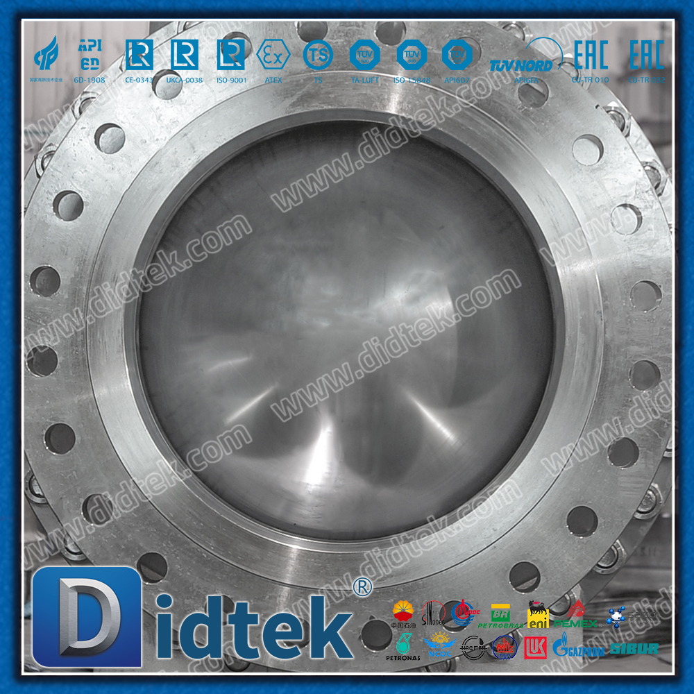 Van bi gắn trục bằng thép không gỉ CF3 24 ''