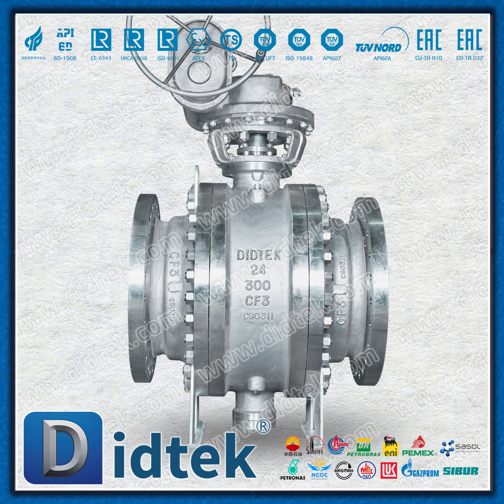 Van bi gắn trục bằng thép không gỉ CF3 24 ''