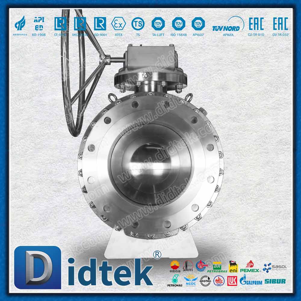 Van bi Trunnion FPSO F316 Kỹ thuật hàng hải