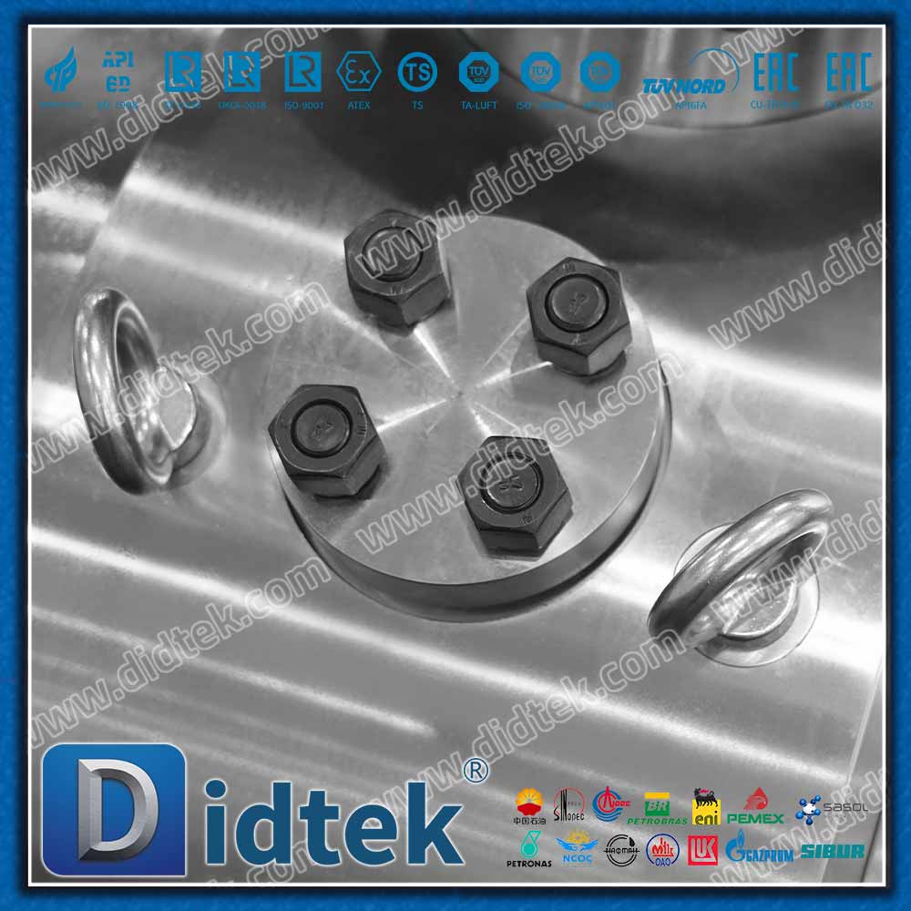 Van bi áp suất cao Inconel 625 Overlay Lip cho kỹ thuật hàng hải